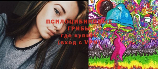 бошки Аркадак