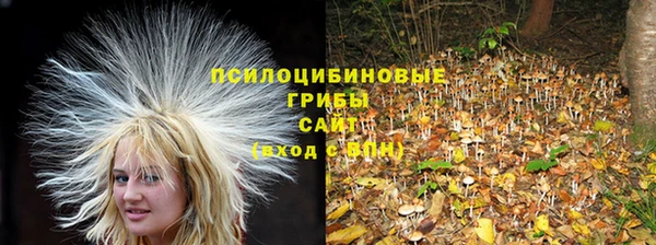 шишки Армянск