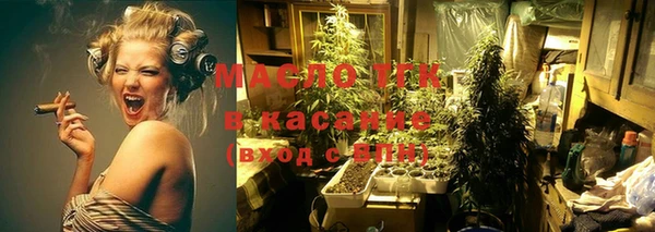 шишки Армянск