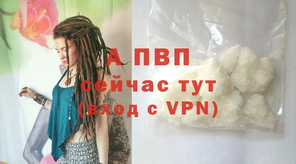 амф Россошь