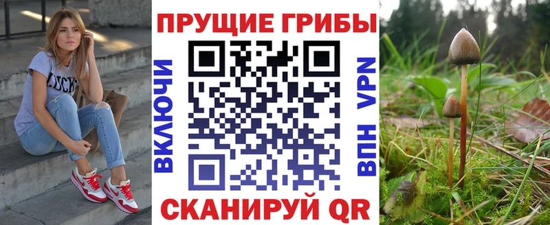 Галлюциногенные грибы мицелий  купить наркотик  Таруса 